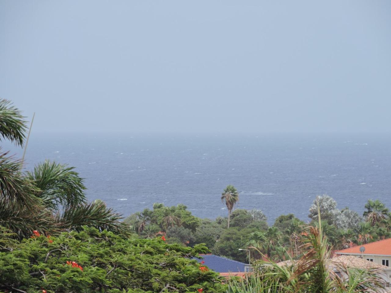 B&B Bellavista ウィレムスタッド エクステリア 写真